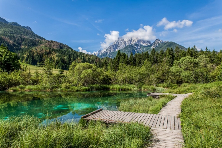 Zelenci