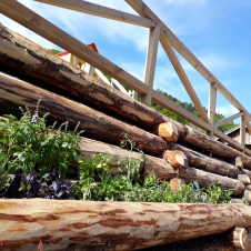 Dobro počutje in ambient Dobro počutje in ambient